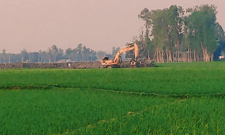 উল্লাপাড়ায় ফসলি জমিতে পুকুর খনন করছে অবৈধ ইট ভাটার মালিকরা