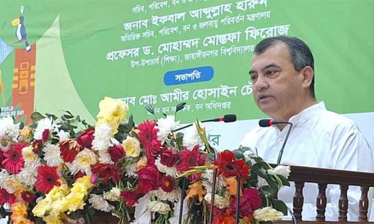 ৩১ প্রজাতির বন্যপ্রাণী বিলুপ্ত, ঝুঁকিতে ৫৬ প্রজাতি: পরিবেশমন্ত্রী