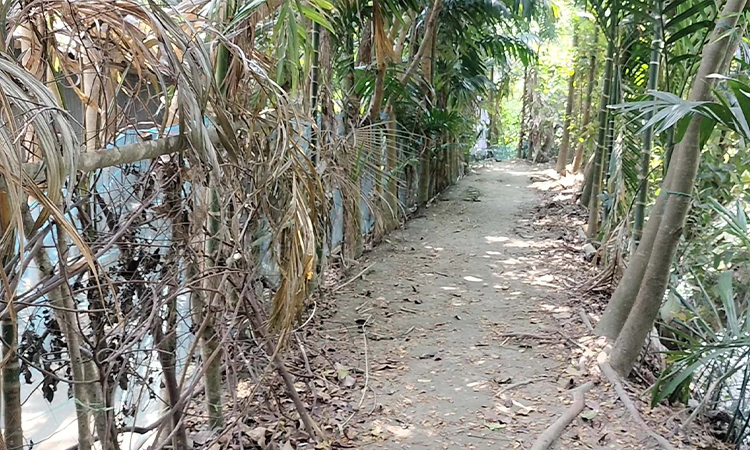 চলাচলের রাস্তায় বেড়া, অবরুদ্ধ রিকশাচালকের পরিবার