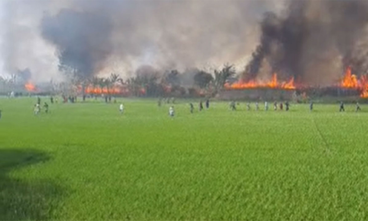 কুষ্টিয়ায় পানের বরজে আগুন, নিয়ন্ত্রণে ৮ ইউনিট