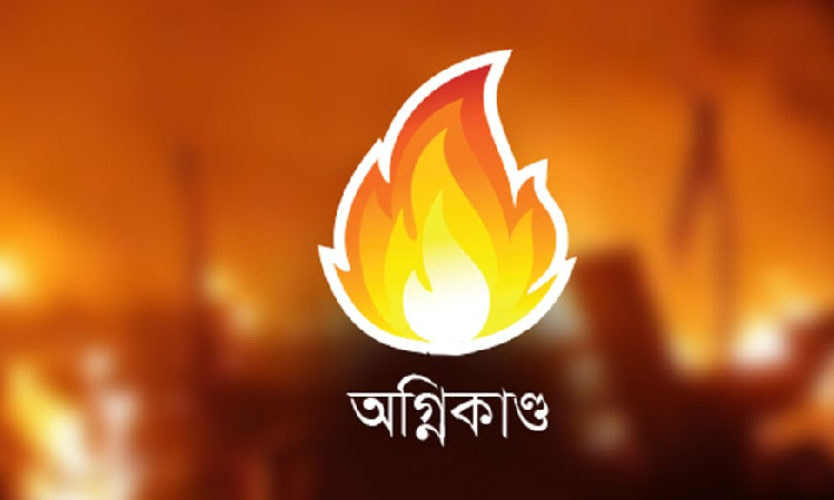 লোহাগড়ায় পৃথক দুটি অগ্নিকাণ্ড