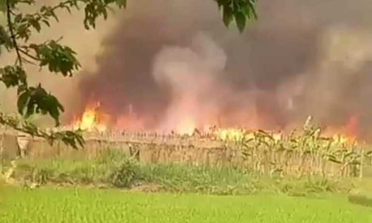 কুষ্টিয়ায় পানের বরজের আগুন নিয়ন্ত্রণে