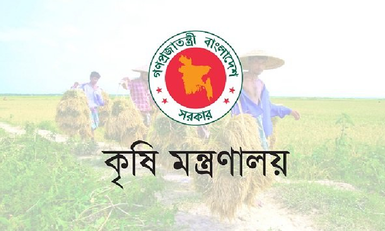 আউশের আবাদ ও উৎপাদন বাড়াতে ৬৪ কোটি টাকার প্রণোদনা