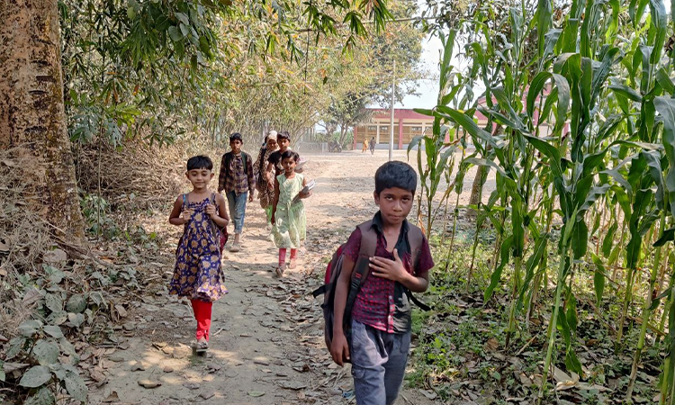 বিদ্যালয়ের রাস্তা নেই, জমির আইল আর উঠানই ভরসা!