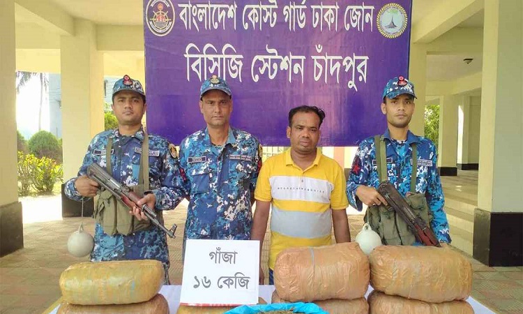 চাঁদপুরে ১৬ কেজি গাঁজাসহ মাদক ব্যবসায়ী আটক