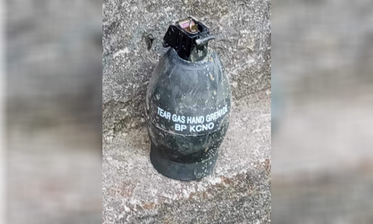 নোয়াখালীতে ২টি গ্রেনেড উদ্ধার