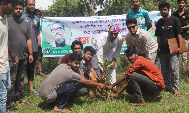 বঙ্গবন্ধুর জন্মদিন উপলক্ষ্যে ইবিতে ১০৪টি বৃক্ষরোপন