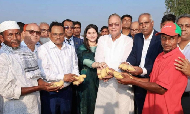 আলুর উৎপাদন বৃদ্ধিতে উচ্চফলনশীল জাতের আলু চাষের আহ্বান কৃষিমন্ত্রীর