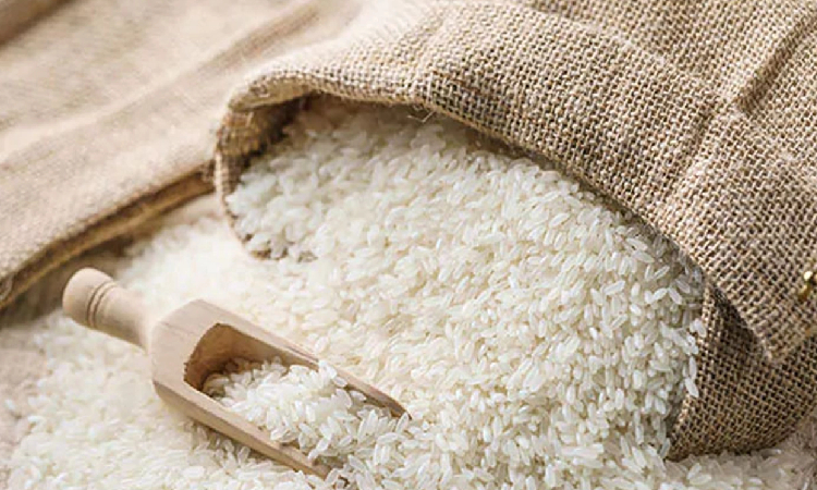 এক মাসে ৪% চালের দাম কমল বিশ্ববাজারে