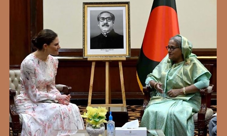 রোহিঙ্গাদের জন্য ইউএনডিপি’র বড় তহবিল গঠনের উদ্যোগ নিতে প্রধানমন্ত্রীর আহ্বান