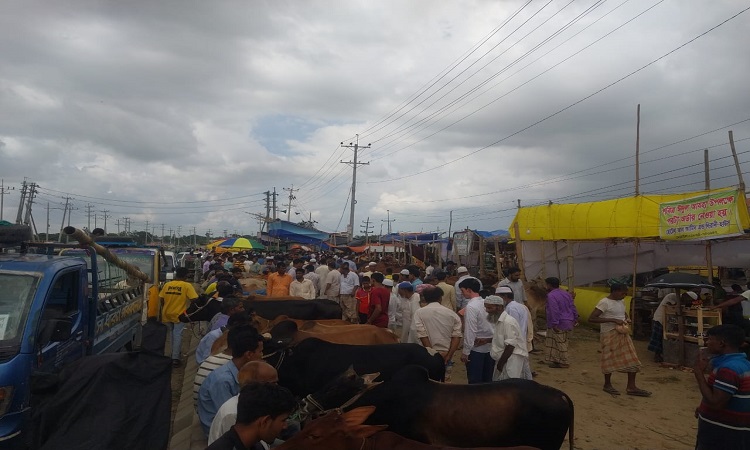 কর্ণফুলীর ‘ফকিরনীরহাট বাজার’ দরপত্র বাতিল চেয়ে রি-টেন্ডারের দাবি