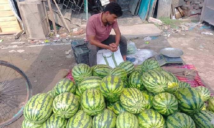 ইন্দুরকানীতে তরমুজের কেজি ৮০টাকা