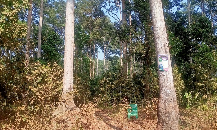 টেকনাফে ফের ৫ কৃষক অপহরণ, মুক্তিপণ দাবি