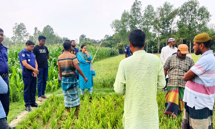 নির্বাহী কর্মকর্তার হস্তক্ষেপে শস্য ক্ষেতে সেচ সচল