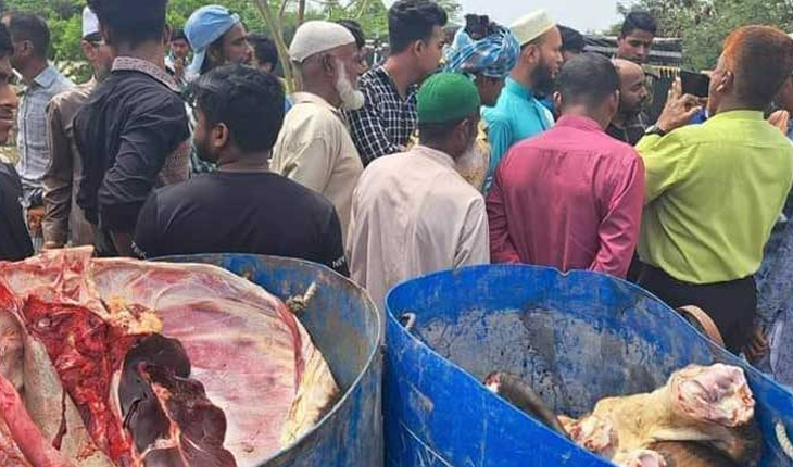 শরণ‌খোলায় মরা গরুর মাংস বি‌ক্রির দা‌য়ে দুই ভাই আটক