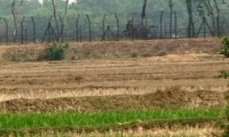 নওগাঁ সীমান্তে বিএসএফের গুলিতে যুবক নিহত