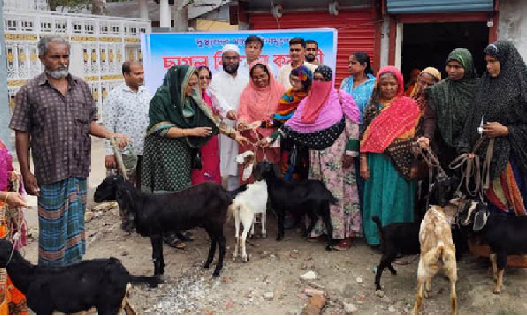 নড়াইলে ১৫জন দুস্থ নারীকে বিনামূল্যে ২টি করে ছাগল বিতরণ