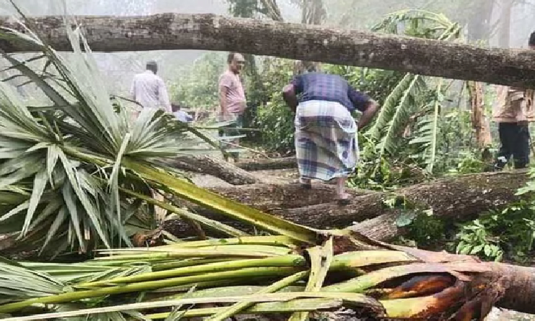 আলফাডাঙ্গায় ঘূর্ণিঝড়ে বিধ্বস্ত ২০ গ্রামের শতাধিক ঘরবাড়ি