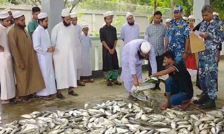 চাঁদপুরে ১০৬ মণ ইলিশসহ ট্রলার জব্দ