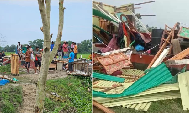 ব্রাহ্মণবাড়িয়ায় ঝড়ে ঘরবাড়ি লন্ডভন্ড, আহত ১