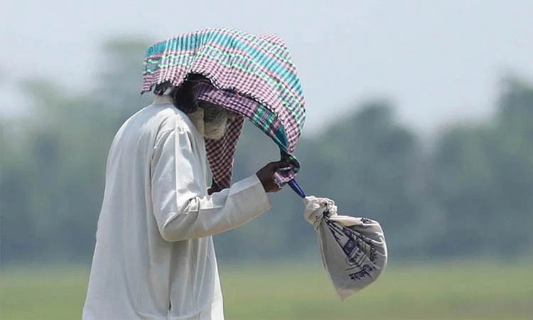 দেশের দুই অঞ্চলে বইছে মৃদু তাপপ্রবাহ