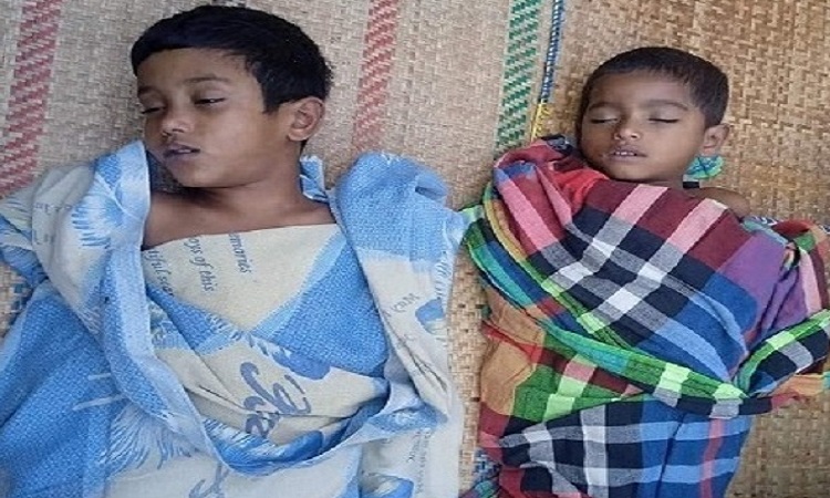 ভোলার চরফ্যাশনে পানিতে ডুবে দুই ভাইয়ের মৃত্যু