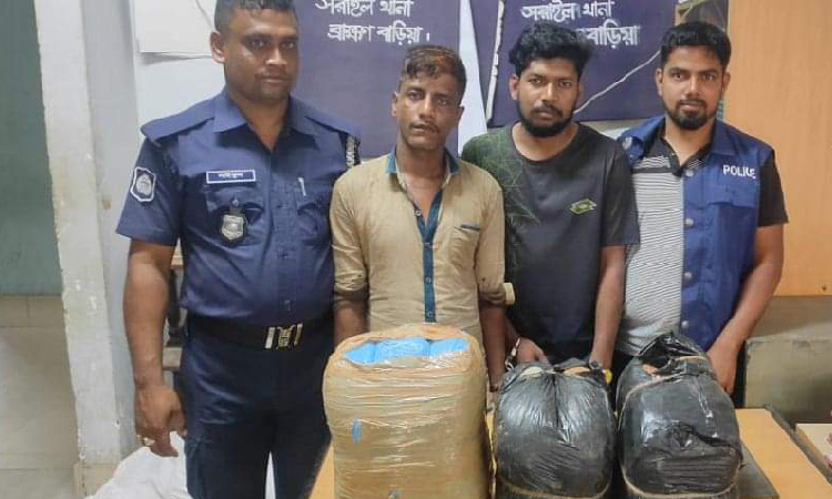 সরাইলে ১৪ কেজি গাঁজাসহ ২ মাদক ব্যবসায়ী গ্রেফতার