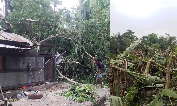 ইন্দুরকানীতে কালবৈশাখী ঝড়ে ব্যাপক ক্ষয়ক্ষতি