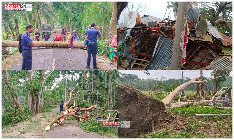 কালবৈশাখীর তাণ্ডবে বিভিন্ন জেলায় ১২ জন নিহত