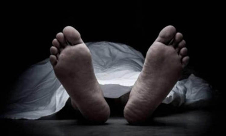 সিরাজগঞ্জে যাত্রীবাহী পিকআপ উল্টে নিহত ১, আহত ১৫