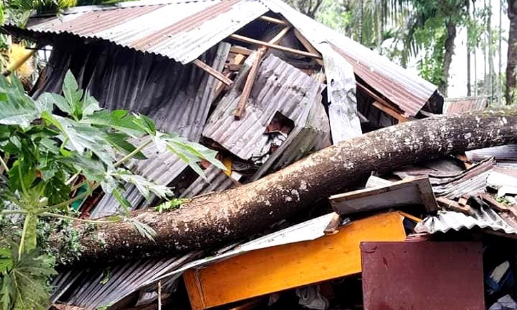 কালবৈশাখীর তাণ্ডবে বরিশালে ২৫ লাখ মানুষ বিদ্যুৎহীন