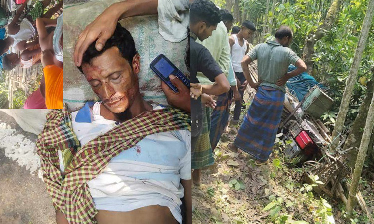 ভোলায় নসিমন উল্টে চালকের মৃত্যু