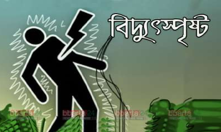 রৌমারীতে বিদ্যুৎস্পৃষ্টে নিহত ১