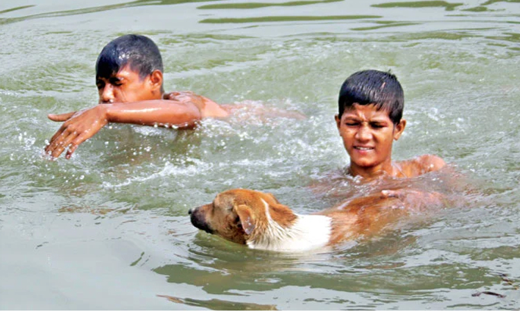 গরমে স্বস্তির খবর দিল আবহাওয়া অধিদফতর