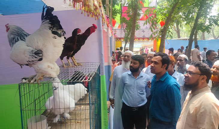 শেরপুরে প্রাণিসম্পদ প্রদর্শনী মেলা অনুষ্ঠিত