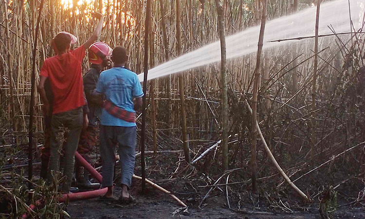 দৌলতপুর সীমান্তে আগুন লেগে পানবরজ পুড়ে ছাই