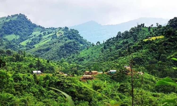 রুমায় সেনাবাহিনীর অভিযানে কেএনএ সদস্য নিহত