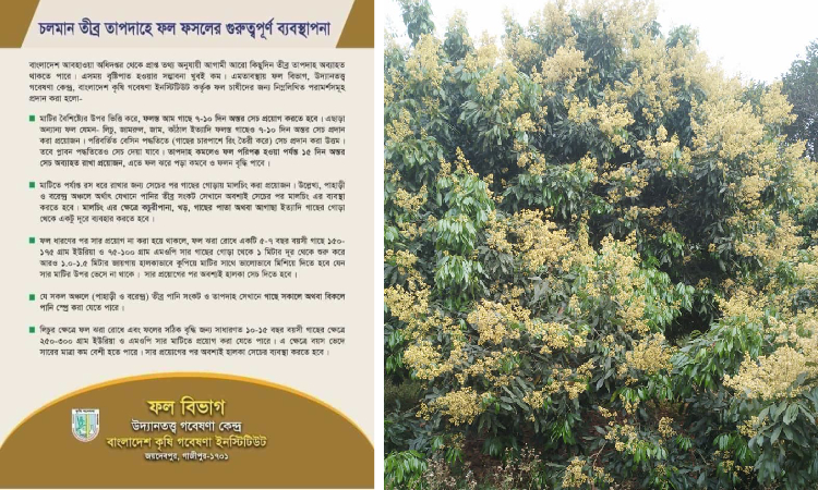 ব্রাহ্মণবাড়িয়ায় তাপদাহের কৃষকদের আতঙ্কিত না হওয়ার পরামর্শ