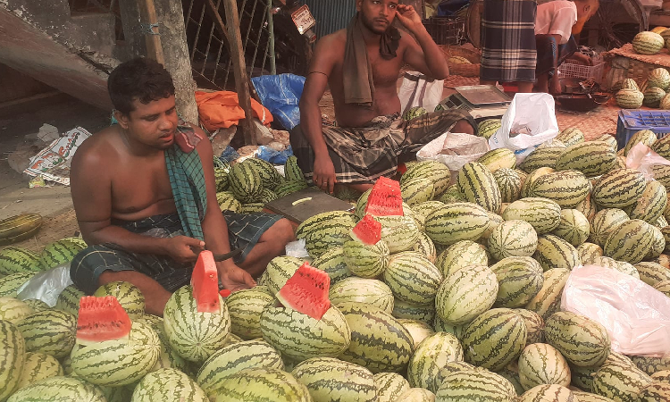 ইন্দুরকানীতে তাপদাহকে পুঁজি করে অধিক দামে তরমুজ বিক্রি