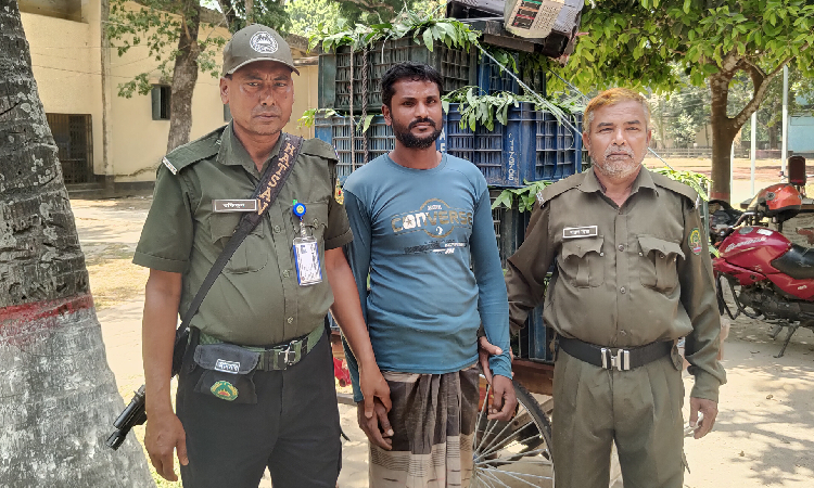 সরকারি গাছের পাতা ছেঁড়ায় ভ্যানচালকের ৭ দিনের জেল