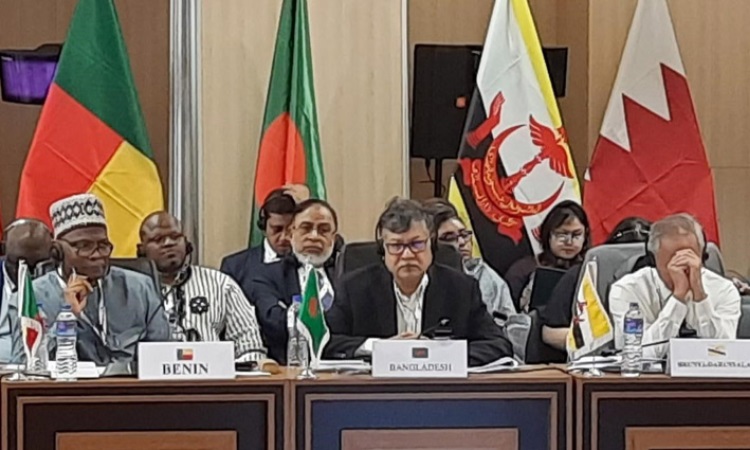গাম্বিয়ায় ওআইসি সম্মেলনে যোগ দিলো বাংলাদেশ