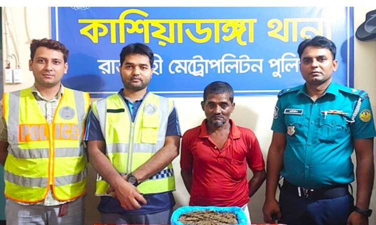 কাশিয়াডাঙ্গা থানার অভিযানে ১ কেজি গাঁজাসহ গ্রেফতার ১