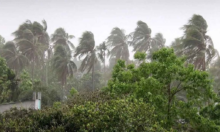 স্বস্তির বৃষ্টির পর ঝড়ের পূর্বাভাস