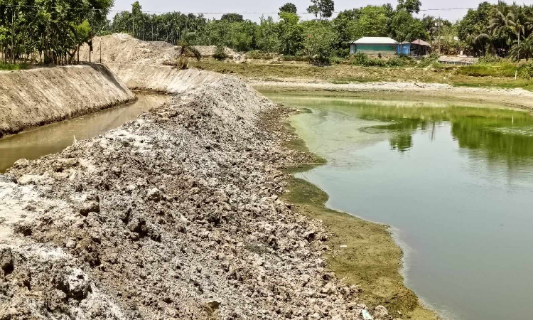 গুরুদাসপুরে মির্জা মাহমুদ খাল পুনঃখননে অনিয়মের অভিযোগ