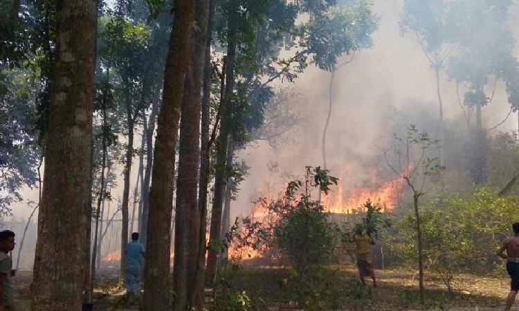 দৌলতপুরে অগ্নিকাণ্ডে ১৪ বিঘা জমির পানবরজ পুড়ে ছাই