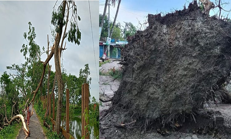 নাসিরনগরে কালবৈশাখী ঝড়ে ৪০ বাড়িঘর ক্ষতিগ্রস্ত