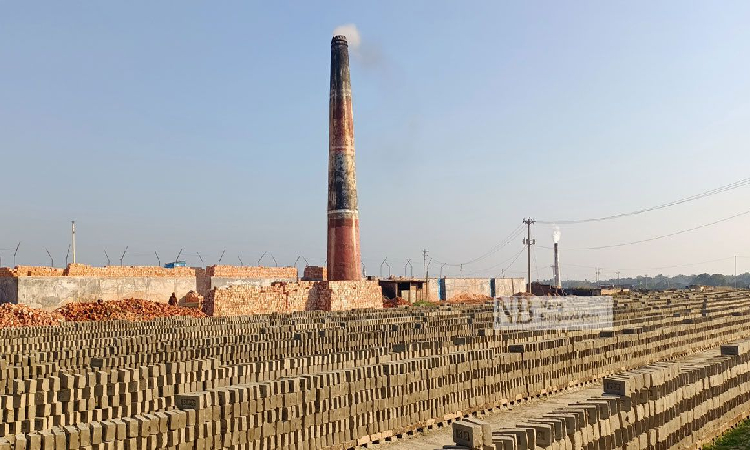 গাইবান্ধায় জেলার ১৭৯টি অবৈধ ইটভাটা উচ্ছেদে রুল