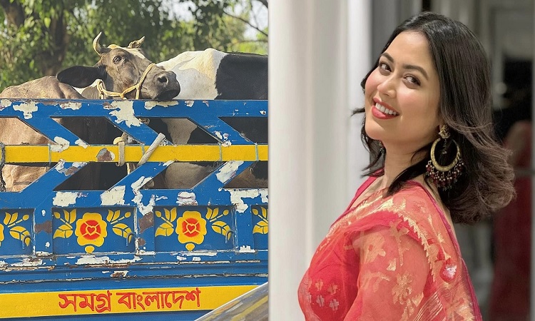 ‘গরু’ ইস্যুতে সমালোচনার মুখে পড়ে কী বলছেন ভাবনা?