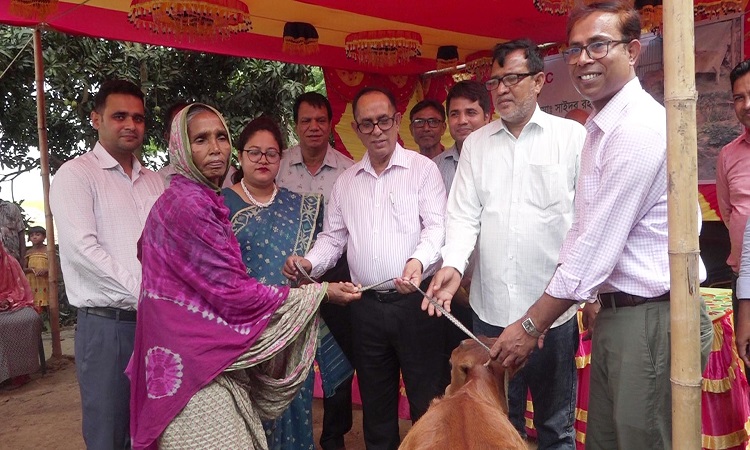 গুরুদাসপুরে হতদরিদ্র ১৫ পরিবারের মাঝে গবাদিপশু বিতরণ