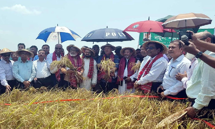 কৃষকদের জন্য কৃষক অ্যাপসহ নানা ধরনের ব্যবস্থা নিয়েছে সরকার: কৃষিমন্ত্রী
